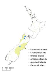 Botrychium lunaria distribution map based on databased records at AK, CHR and WELT. 
 Image: K. Boardman © Landcare Research 2015 CC BY 3.0 NZ